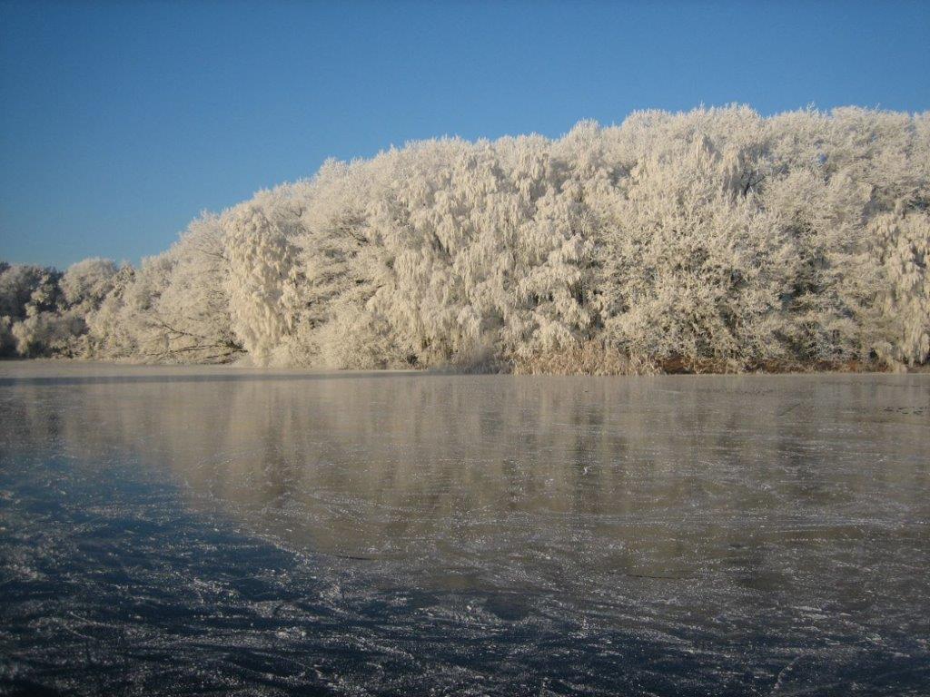Foto's schaatsen op het Bankven Goirle