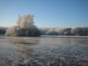 IMG_3380